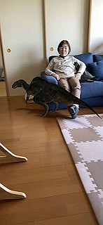 20200414_034745000_ios_thumb.jpg