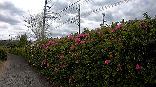 gx010367_x264.mp4_snapshot_00.24_thumb.jpg