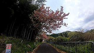gx010370_x264.mp4_snapshot_08.20_thumb.jpg