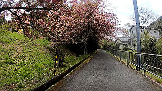 gx010370_x264.mp4_snapshot_15.39_thumb.jpg