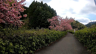 gx010371_x264.mp4_snapshot_00.43_thumb.jpg