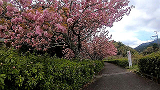 gx010371_x264.mp4_snapshot_00.47_thumb.jpg