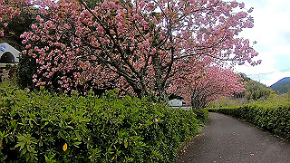 gx010371_x264.mp4_snapshot_00.50_thumb.jpg