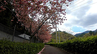 gx010371_x264.mp4_snapshot_01.02_thumb.jpg