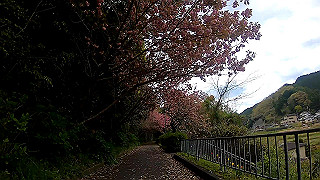 gx010371_x264.mp4_snapshot_02.32_thumb.jpg