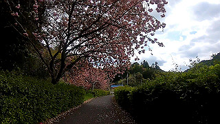 gx010371_x264.mp4_snapshot_03.56_thumb.jpg