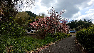 gx010371_x264.mp4_snapshot_04.00_thumb.jpg