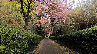 gx010371_x264.mp4_snapshot_04.38_thumb.jpg
