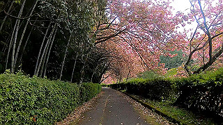 gx010371_x264.mp4_snapshot_04.57_thumb.jpg
