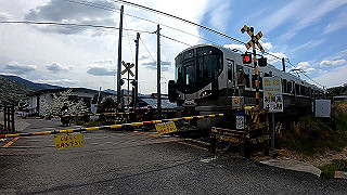 gx010386_x264.mp4_snapshot_00.15_thumb.jpg