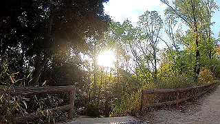 gx010408_x264.mp4_snapshot_00.01_thumb.jpg