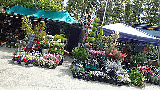 p4220290_thumb.jpg