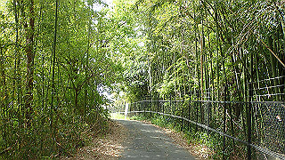 p4220292_thumb.jpg