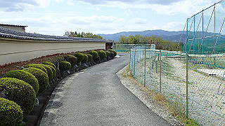 p4220295_thumb.jpg