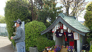 p4220297_thumb.jpg