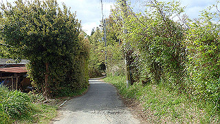 p4220298_thumb.jpg