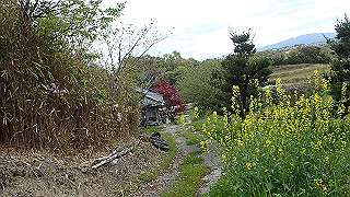 p4220299_thumb.jpg