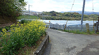 p4220303_thumb.jpg