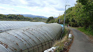 p4220305_thumb.jpg
