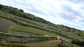 p4220306_thumb.jpg