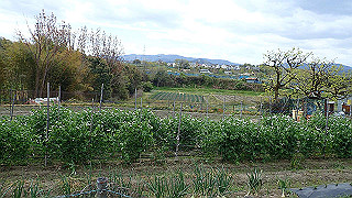 p4220307_thumb.jpg