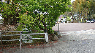p4220320_thumb.jpg