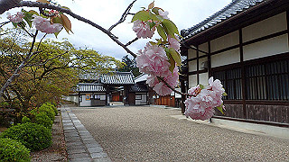 p4220324_thumb.jpg