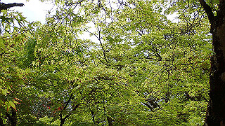 p4220326_thumb.jpg