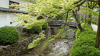 p4220329_thumb.jpg