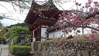 p4220332_thumb.jpg