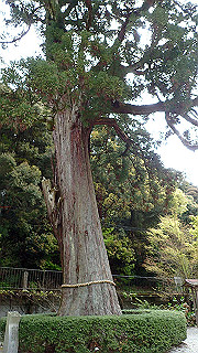 p4220334_thumb.jpg