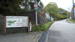 p4220337_thumb.jpg