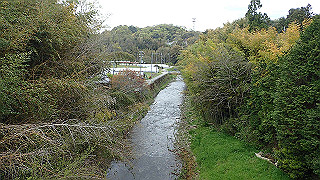 p4220340_thumb.jpg
