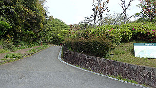 p4220355_thumb.jpg