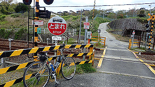 p4220359_thumb.jpg