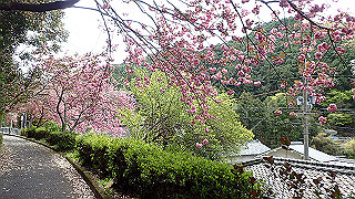 p4220365_thumb.jpg