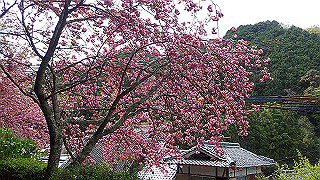 p4220366_thumb.jpg
