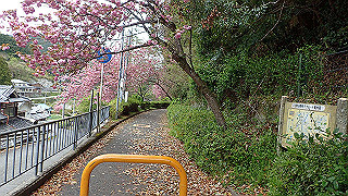 p4220369_thumb.jpg
