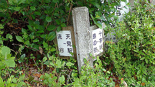 p4220370_thumb.jpg