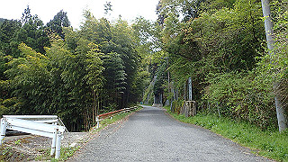 p4220374_thumb.jpg