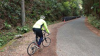p4220376_thumb.jpg