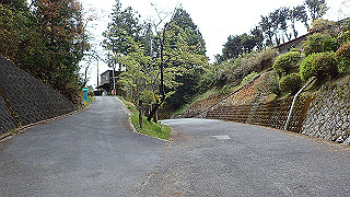 p4220379_thumb.jpg