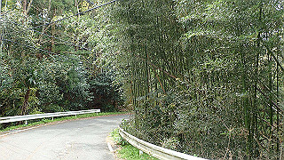 p4220386_thumb.jpg