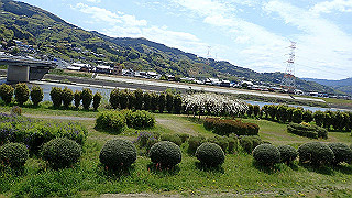 p4220406_thumb.jpg
