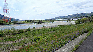 p4220412_thumb.jpg