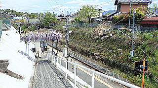p4220418_thumb.jpg