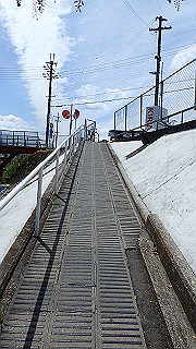 p4220424_thumb.jpg