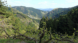 p4220449_thumb.jpg