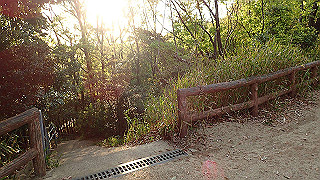 p4220462_thumb.jpg