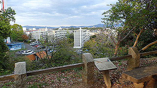 p4220463_thumb.jpg